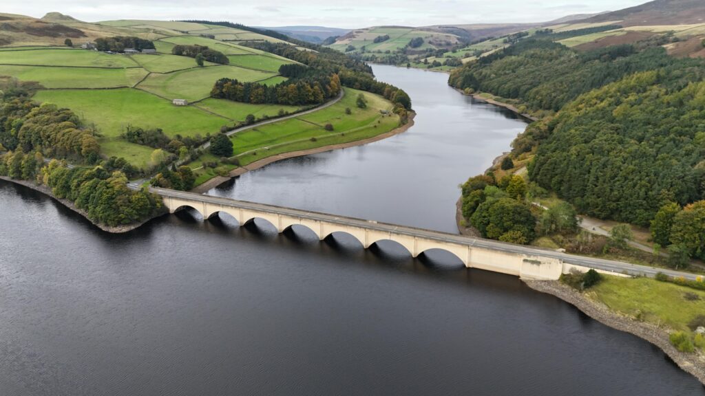 Pexels davidpickup 28951507