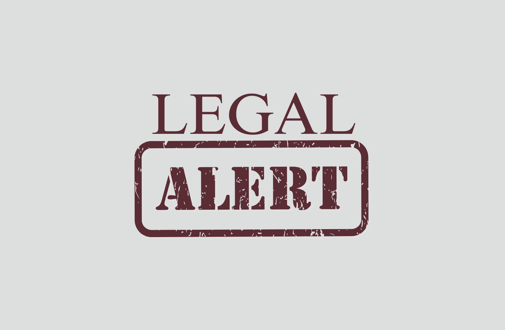 Newsletter Djp 082024 (4)