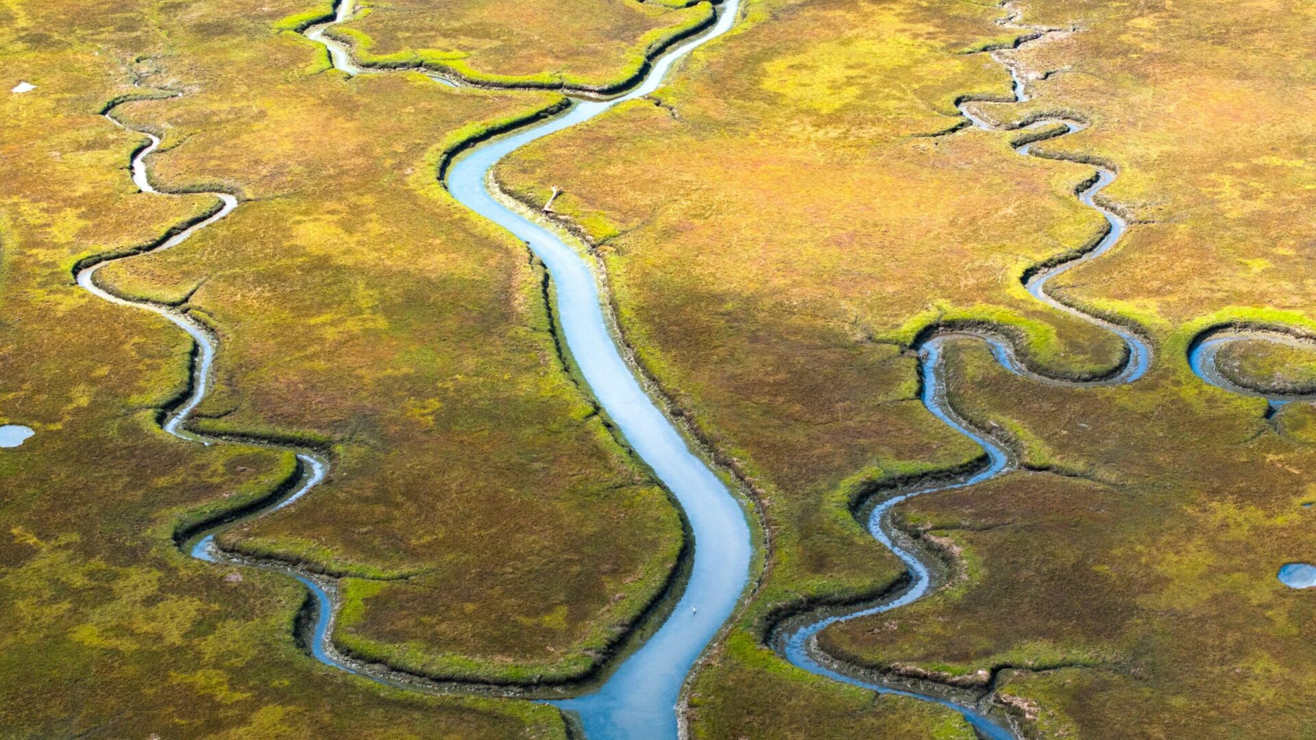 Pexels jeremy bishop 1260133 27585250