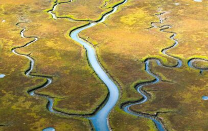 Pexels jeremy bishop 1260133 27585250