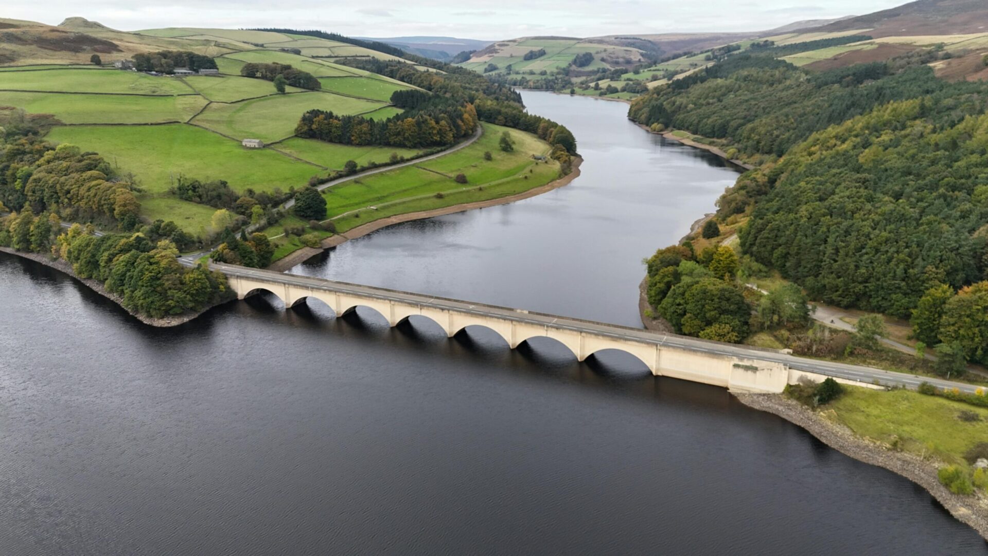 Pexels davidpickup 28951507