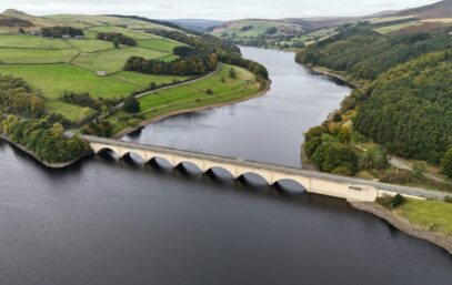 Pexels davidpickup 28951507